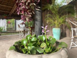 Giardino di Botanica Eco Lodge