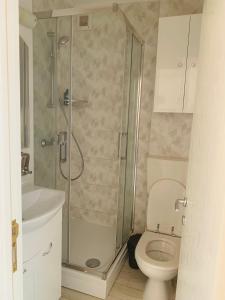 a bathroom with a shower and a toilet and a sink at Apartament Viorela in Alba Iulia
