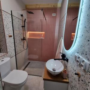 a bathroom with a toilet and a sink and a shower at Domek Discovery Mazury in Mrągowo +25 photos