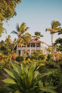 een groot wit huis met palmbomen ervoor bij The House of Royals in Zanzibar City