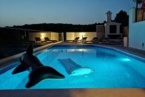Fotografie z fotogalerie ubytování Apartments with a swimming pool Kanica, Rogoznica - 11249 v Rogoznici
