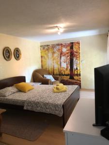 a bedroom with a bed and a couch and a tv at Kuca za odmor Davidovic in Despotovac