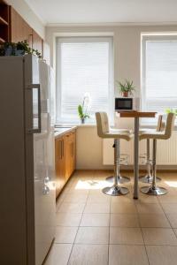 a kitchen with a refrigerator and a table and chairs at Motorest Farmárik in Topoľčany
