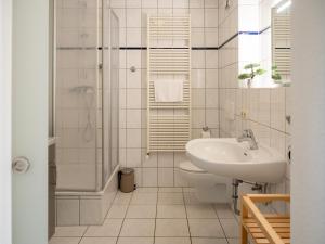a bathroom with a sink and a toilet and a shower at Darßer Weg FW 9 in Zingst