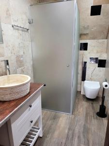 een badkamer met een wastafel, een douche en een toilet bij Domek w Chmurach II in Kicznia
