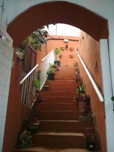 a stairway with potted plants on the stairs at Residencia Los Conejos - Bike & Motorbike in Las Palmas de Gran Canaria
