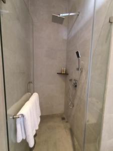 a bathroom with a shower and a glass shower stall at The Kd Suites & Coffee Shop in Munggu