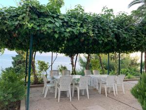 Fotografia z galérie ubytovania Apartments by the sea Zaostrog, Makarska - 10431 v Zaostrogu