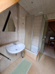 a bathroom with a sink and a shower at Ferienwohnung Augustusburg in Augustusburg