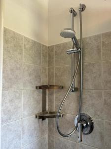 a shower with a shower head in a bathroom at Hotel Aurora in Colico