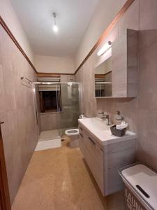 a bathroom with a sink and a shower and a toilet at Villa Sikioti in Ierissos