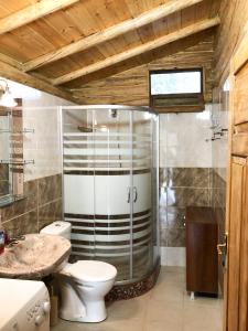 een badkamer met een douche, een toilet en een wastafel bij Lodges VEIS in Kamenicë