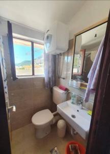 La petite salle de bains est pourvue de toilettes et d'un lavabo. dans l'établissement Seaside holiday house Drasnice, Makarska - 10359, à Drašnice