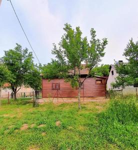 a wooden house in a field with a tree at Holiday house with a parking space Perusic, Velebit - 19187 in Perušić