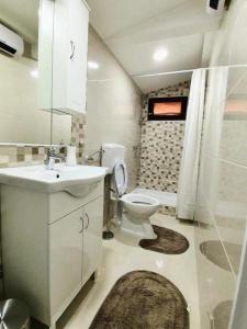 a bathroom with a sink and a toilet and a shower at Holiday house with a parking space Perusic, Velebit - 19187 in Perušić