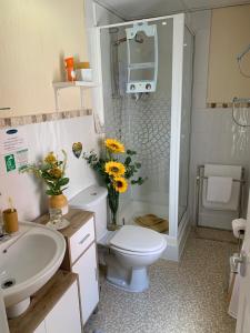 a bathroom with a toilet and a sink and a shower at Sorrento House in Blackpool +54 photos