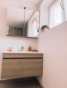a bathroom with a sink and a mirror at Vintage dream in Heide