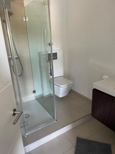 a bathroom with a shower and a toilet at Luxusferienwohnung im Herzen der Altstadt von Koblenz in Koblenz