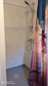 La salle de bains est pourvue d'une douche avec un rideau de douche coloré. dans l'établissement Maison des champs Elysées le Puy-en-Velay, à Chadrac