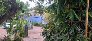 a garden with a blue fence and a blue building at Shady transit hotel in Katunayake