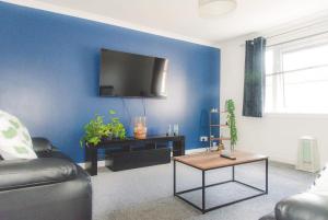 a living room with a couch and a tv on a blue wall at Dumfries Apartment in Dumfries