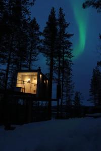 a tree house with the aurora in the sky at Swedish Treehouse 