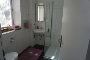 a bathroom with a shower and a sink at Rosalinde in Lüneburg