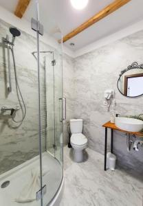 uma casa de banho com um chuveiro, um WC e um lavatório. em Domeniul Acasa in Vadu Izei Maramu em Vadu Izei