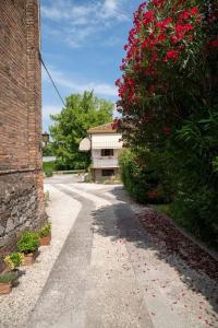 uma estrada ao lado de um edifício com um grande arbusto com flores vermelhas em Casa Perugina em Montagnana