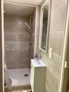 een badkamer met een douche, een toilet en een wastafel bij DOMAINE LE CLOS in Jupilles