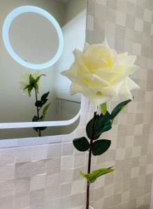 uma rosa amarela num quarto com uma parede em Marina Atico Penthouse em Puerto de la Cruz