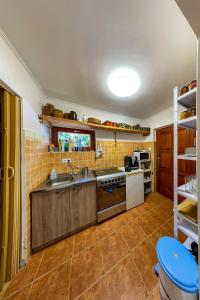 uma cozinha com um lavatório e um fogão em Vidéki Megálló Vendégház em Alsónémedi