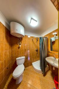 a bathroom with a toilet and a sink at Vidéki Megálló Vendégház in Alsónémedi