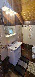 a bathroom with a sink and a mirror and a toilet at Casuta Pietrosul Rodnei in Borşa