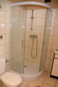 a shower with a glass door next to a toilet at Domki-Mazury in Pasym