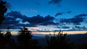 a sunset in the sky with trees in the foreground at Kasar wonder hill homestay in Almora