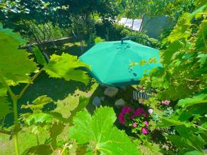 Taman di luar Home Inn-Guesthouse