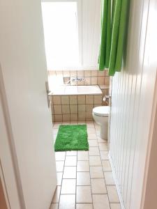 a bathroom with a toilet and a green rug at Apartment, Boxspringbett, ruhige Lage, Kassel Nähe in Schauenburg
