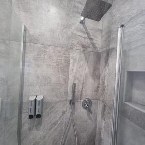 baño con ducha y puerta de cristal en Dibbio's house, en Guidonia