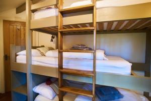 a bunk bed room with two bunk beds at Woodpecker Treehouse in Dittisham