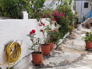 Fotografie z fotogalerie ubytování Old Town Diamond v destinaci Město Rhodos