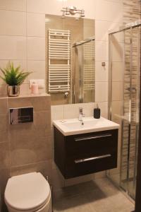 a bathroom with a sink and a toilet and a shower at visit baltic - Villa Julia Studio Mola in Świnoujście