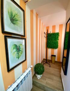 Zdjęcie z galerii obiektu Casa las Hiedras w mieście Marín