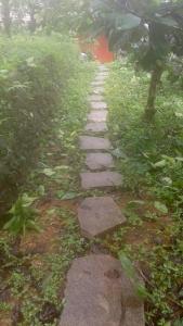 a stepping stone path in the middle of a garden at Chilly Coorg in Virajpet