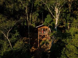 Pumarinri Amazon Lodge في تارابوتو: منزل شجرة في وسط غابة