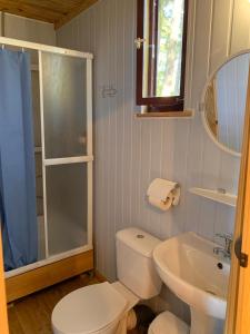 a bathroom with a toilet and a sink and a shower at Zem Priedēm in Lapmežciems