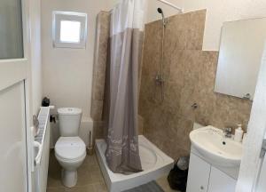 a bathroom with a toilet and a shower and a sink at Pensiunea La Doinel in Densuş +32 photos