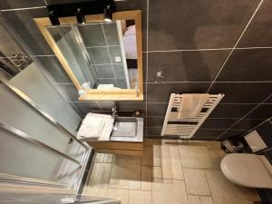 ein Badezimmer mit einem Waschbecken, einem WC und einem Spiegel in der Unterkunft Ferme d'Auxonnettes in Saint-Fargeau-Ponthierry