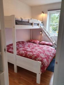 1 dormitorio con 2 literas en una habitación en Fantastic and high standard apartment in Nordseter, en Lillehammer