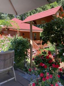Zahrada ubytování B&B Porcini